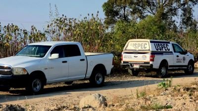 Fue localizado el cadáver de un hombre en un camino de terracería de Villa Madero